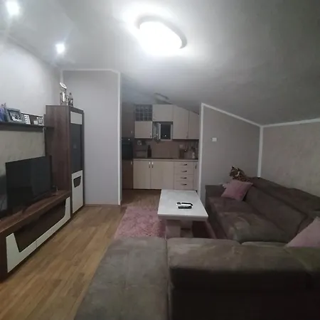 Apartment 44