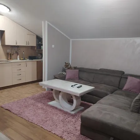 Apartment 44